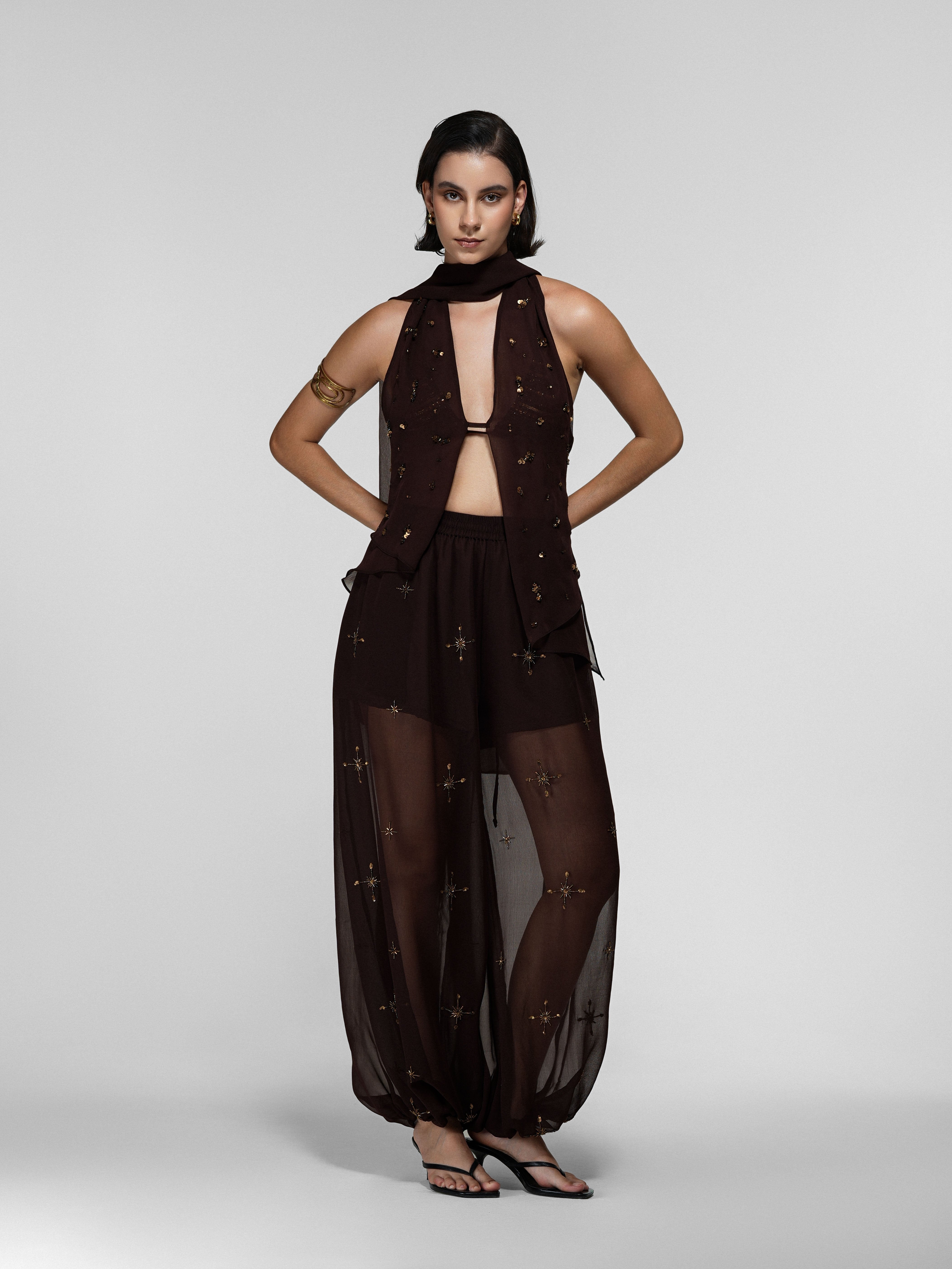 Brown Sheer Embroidered Balloon Pants