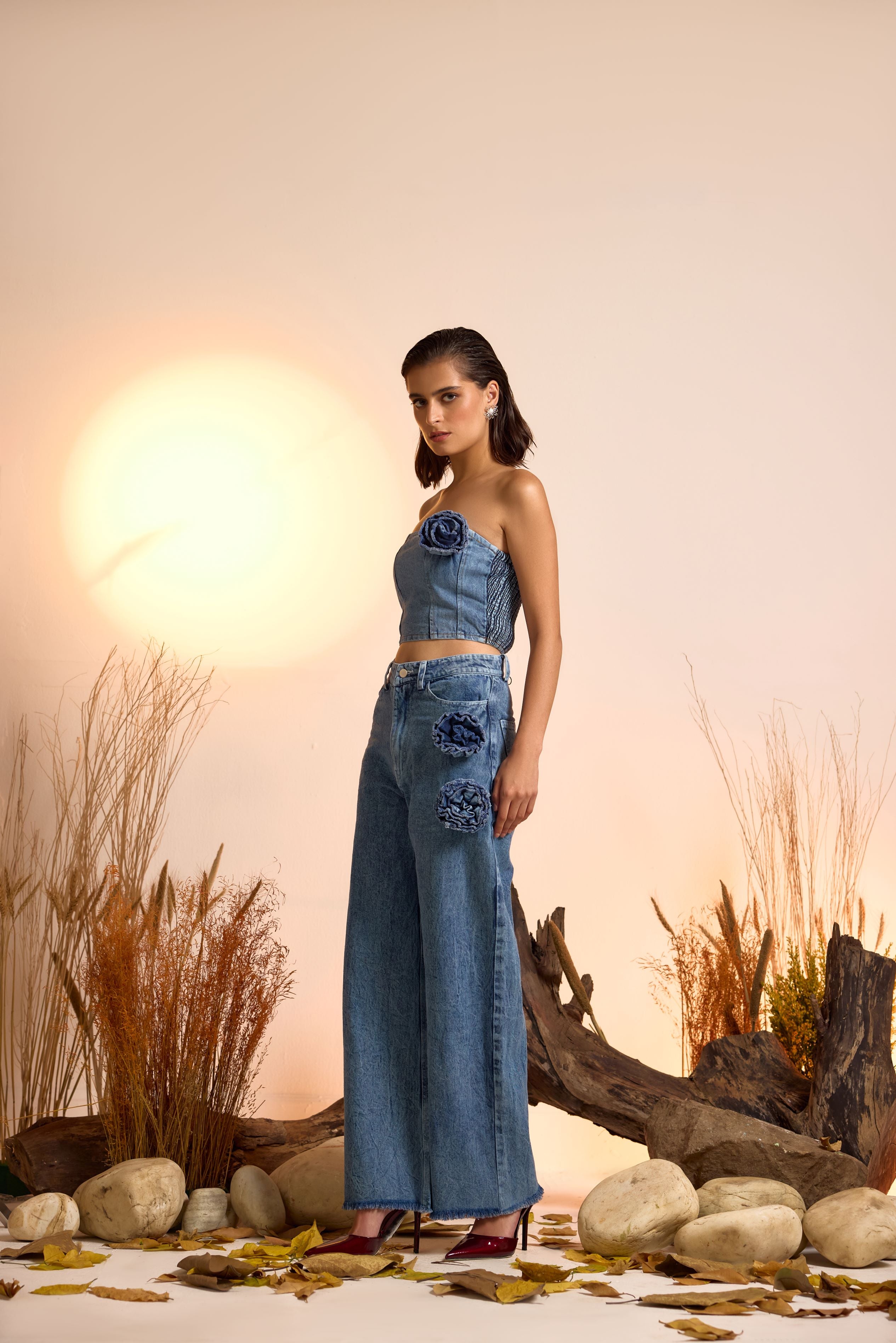 Denim Corsage Corset Denim Top