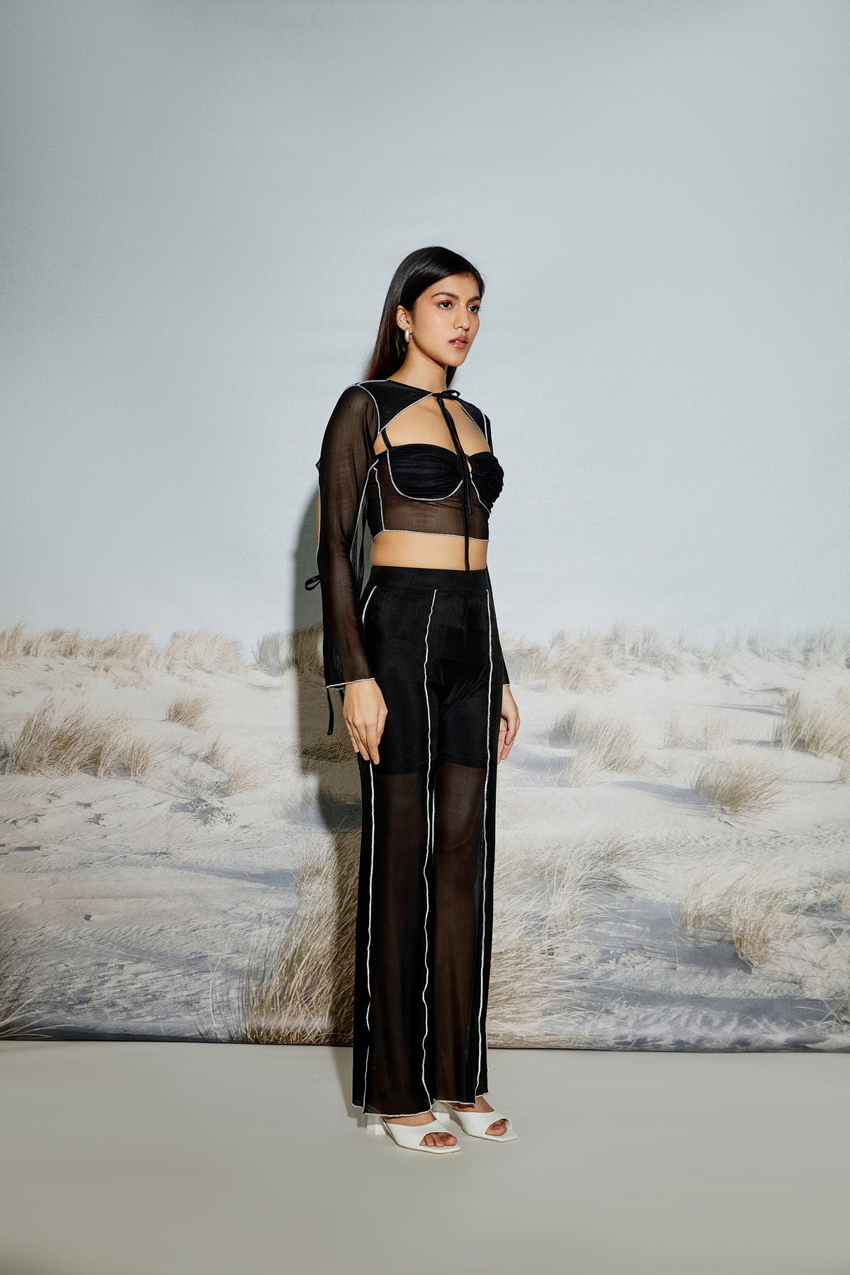 Paneled Sheer Mesh Pants