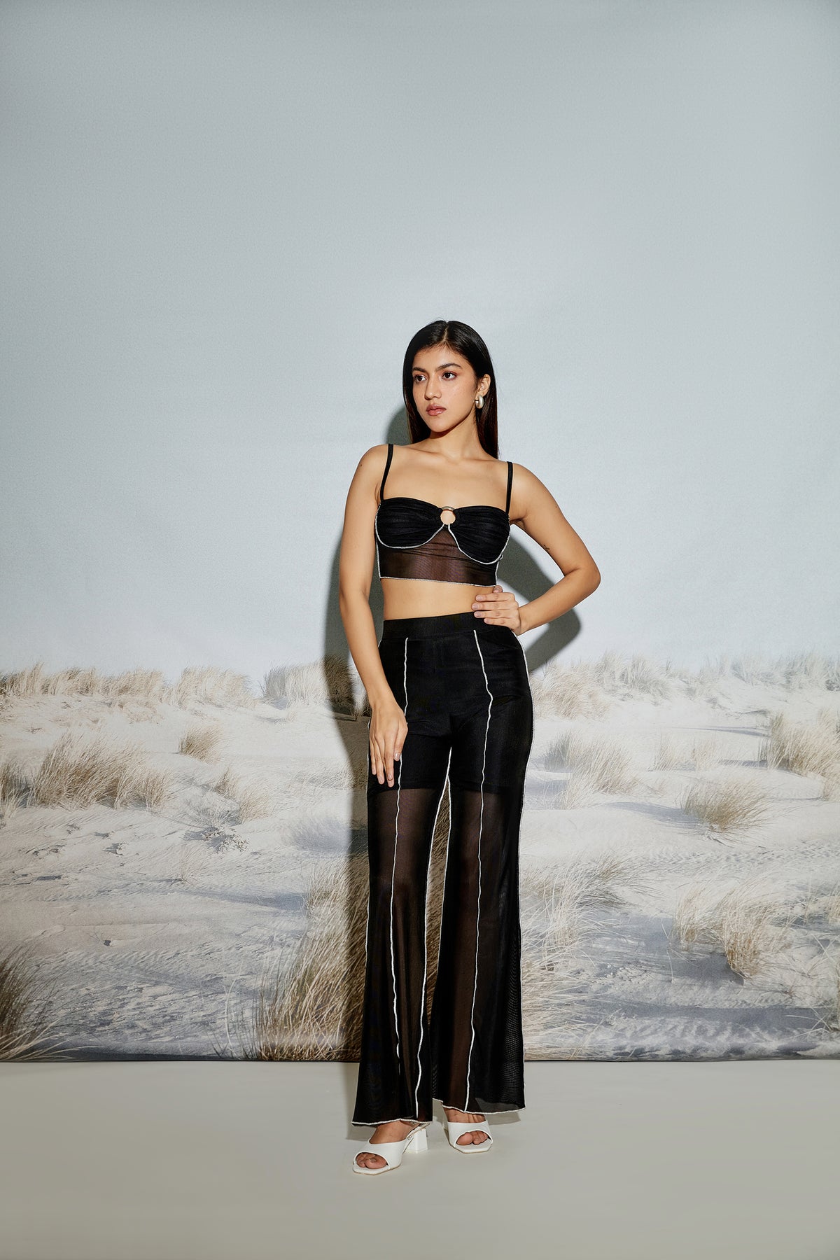 Paneled Sheer Mesh Pants