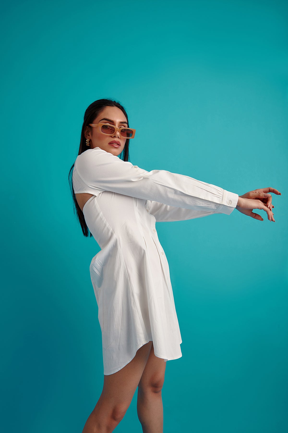Box Pleated Shirt Dress