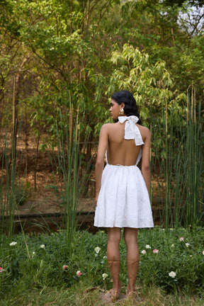 3D Schiffli Backless Mini Dress