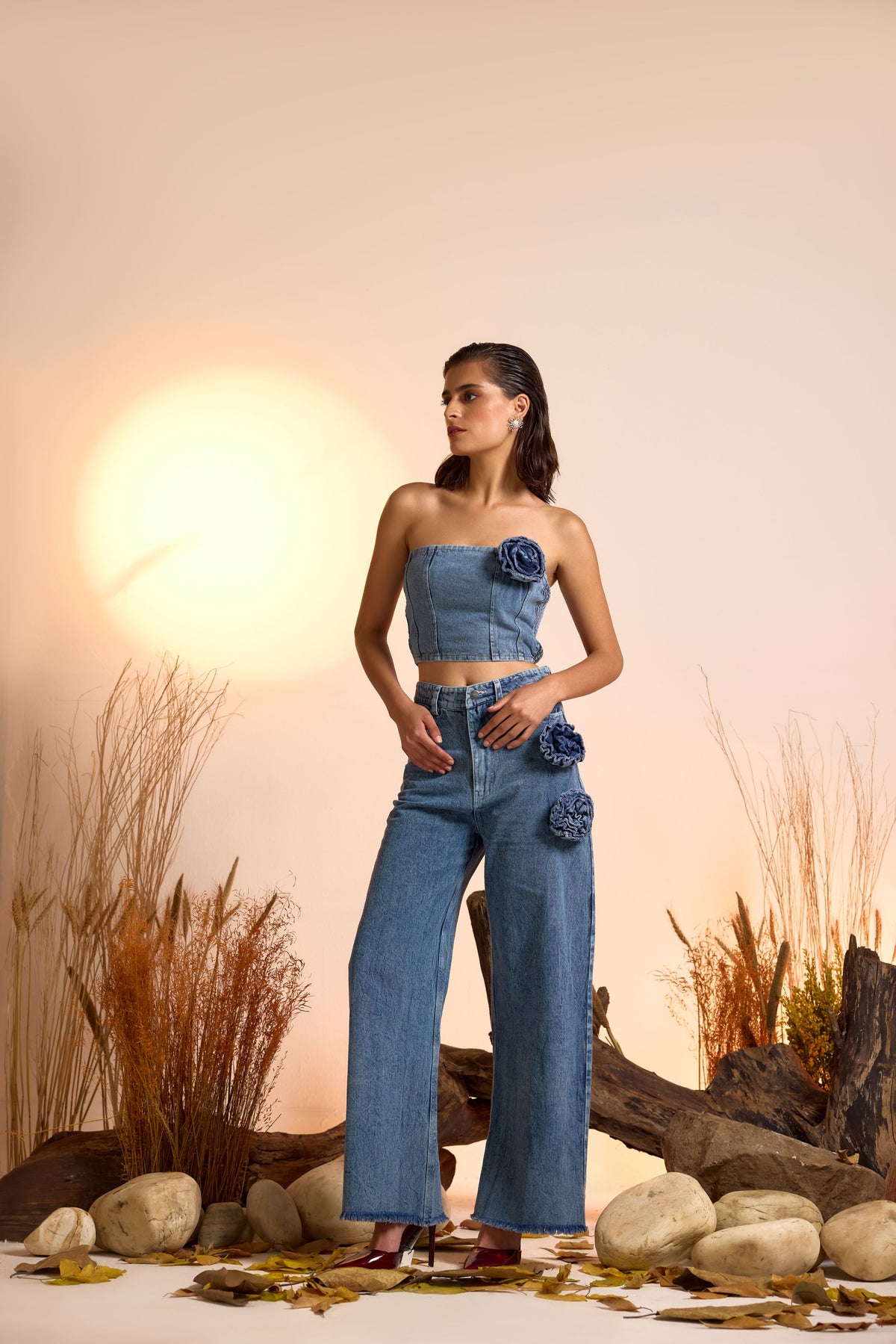 Denim Corsage Corset Denim Top