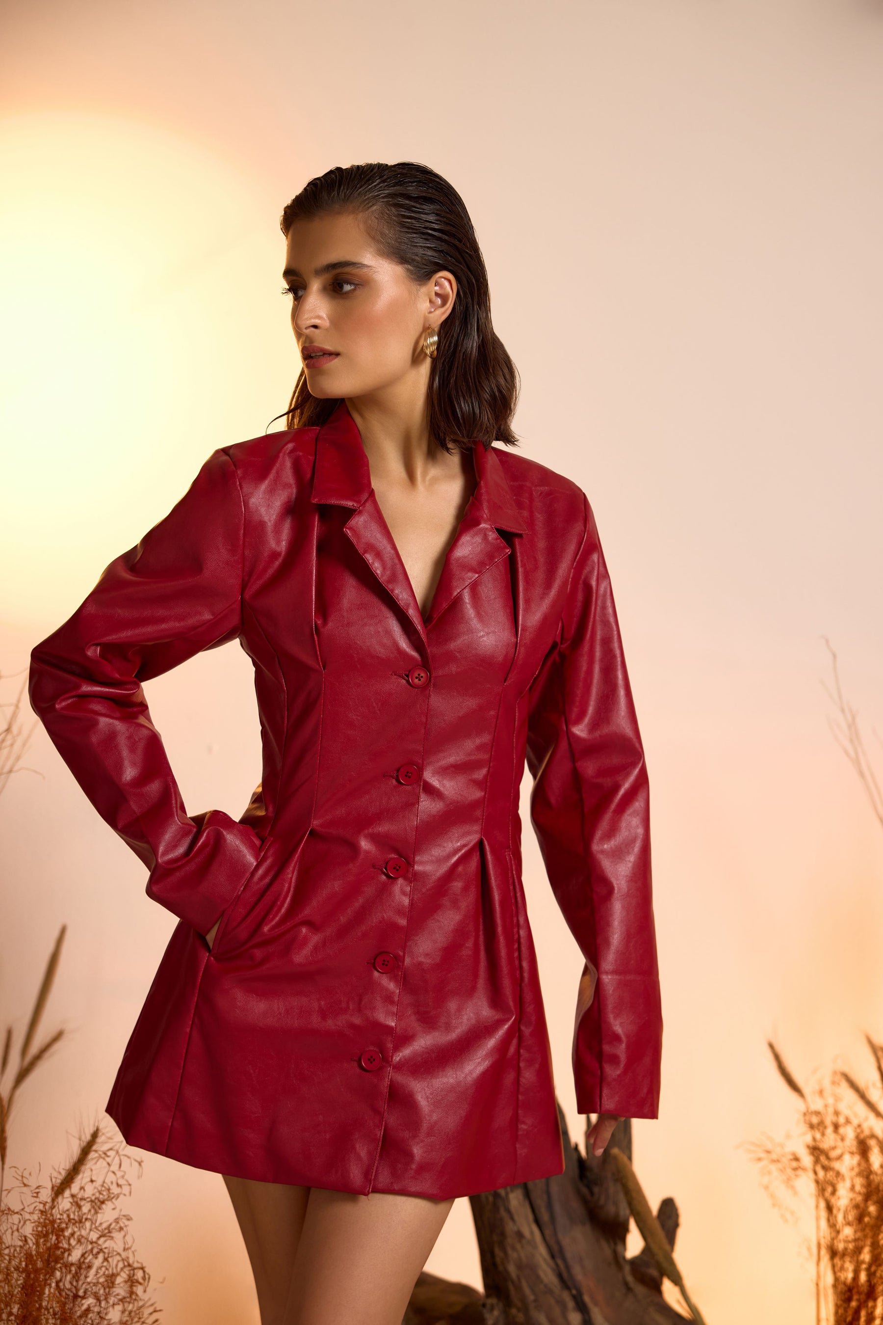Faux Leather Mini Dress Cherry Red for Women Online M / Red Faux Leather Mini Dress Cherry Red for Women Online M / Red