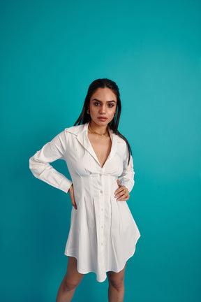 Box Pleated Shirt Dress